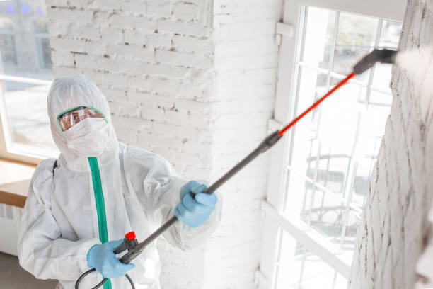 Best Biohazard Mold Removal  in Dubuque, IA