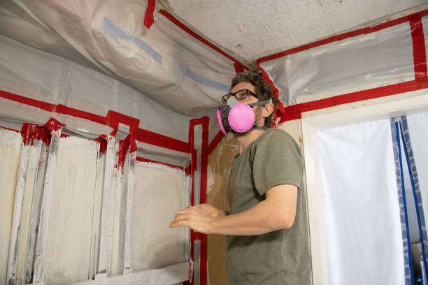 Best Mold Prevention Services  in Dubuque, IA