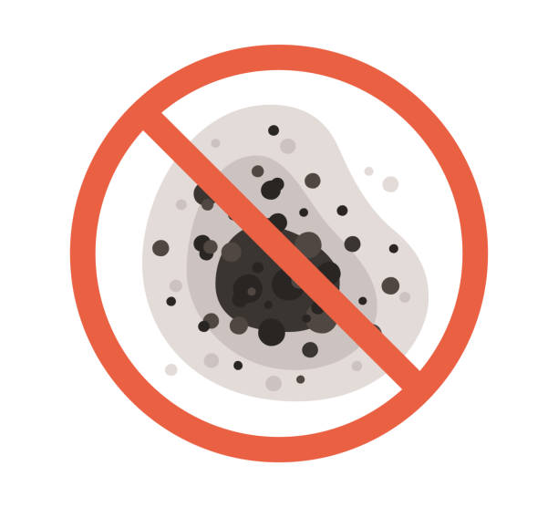 Best Real Estate Mold Inspection  in Dubuque, IA