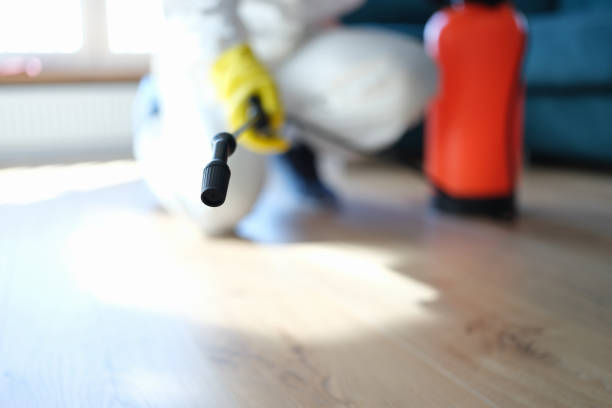 Best Mold Odor Removal Services  in Dubuque, IA