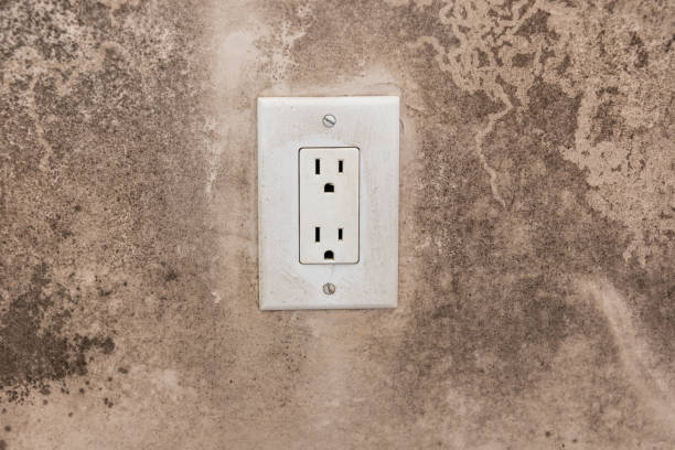 Best Post-Construction Mold Inspection  in Dubuque, IA